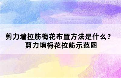 剪力墙拉筋梅花布置方法是什么？ 剪力墙梅花拉筋示范图